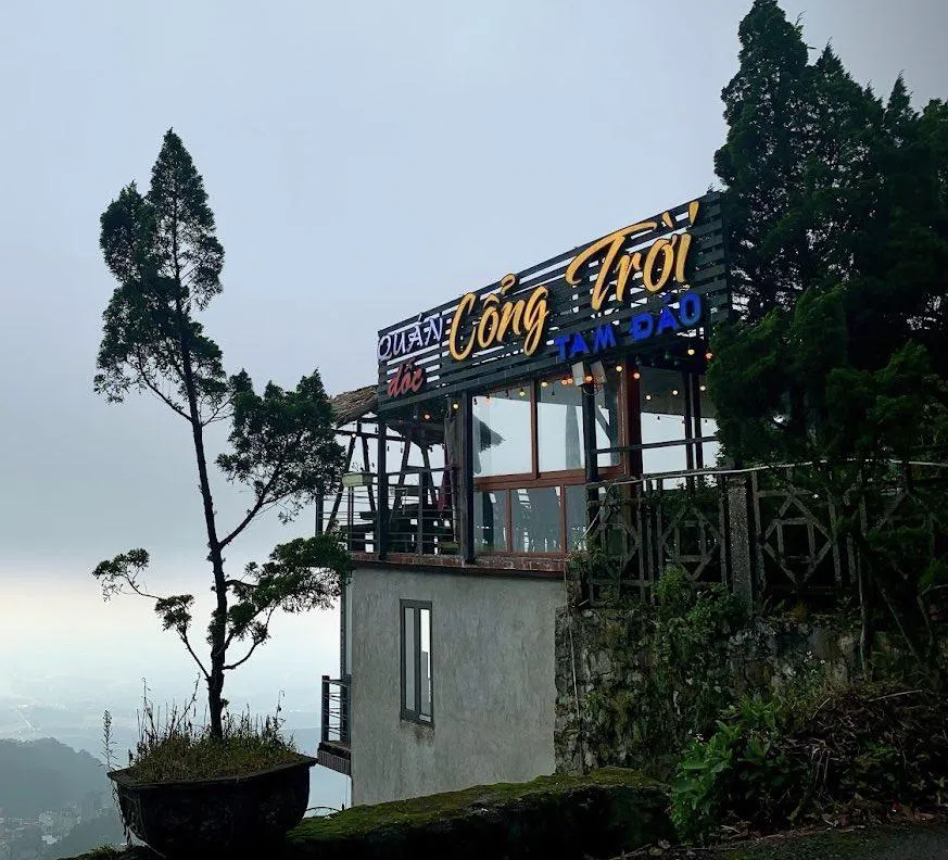 12 quán cafe đẹp Tam Đảo: khung cảnh như tranh khiến bạn ngây ngất