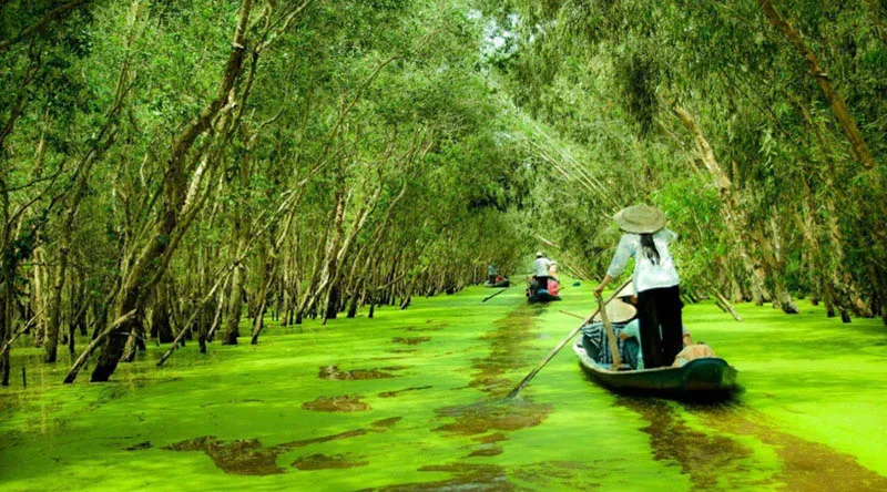 30 địa điểm du lịch Việt Nam mà du khách không nên bỏ qua