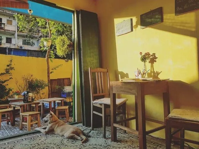 5 Quán cafe Vintage ở Hà Nội khiến bạn “rung động” ngay từ lần đầu bắt gặp