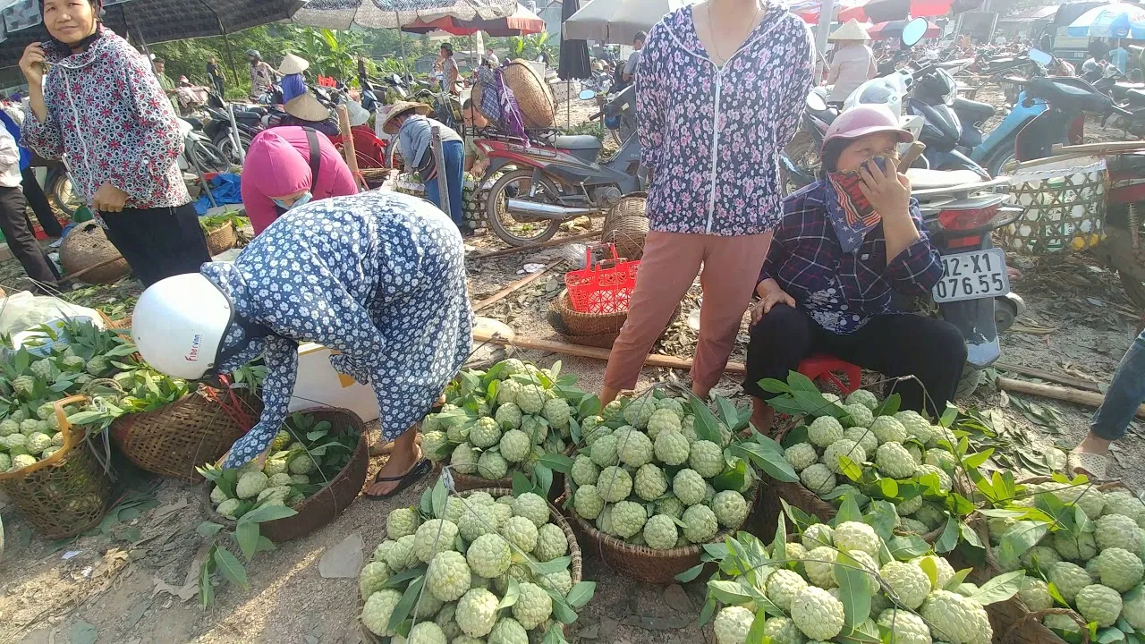 Ải Chi Lăng – Mảnh đất Lạng Sơn đầy chiến tích của dân tộc