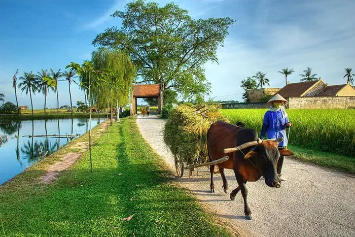 Ba Vì có gì chơi? Top 15 địa điểm du lịch Ba Vì nổi tiếng nhất