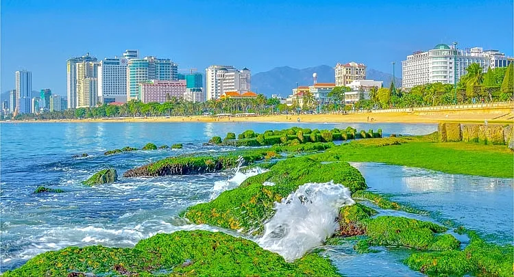 Bãi rêu Nha Trang – Địa điểm sống ảo quen thuộc của du khách