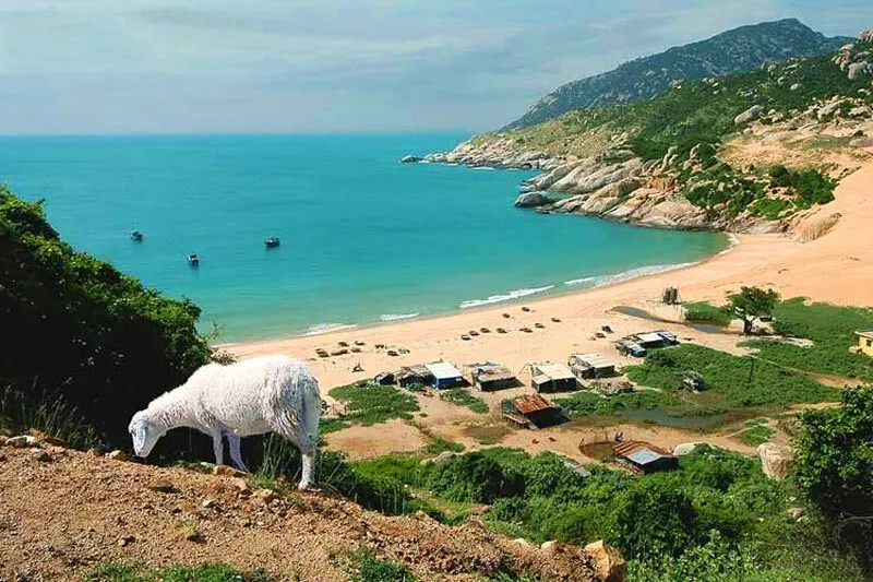 Bãi Tràng Mũi Dinh – Đón bình minh, hoàng hôn đẹp mê ở Ninh Thuận