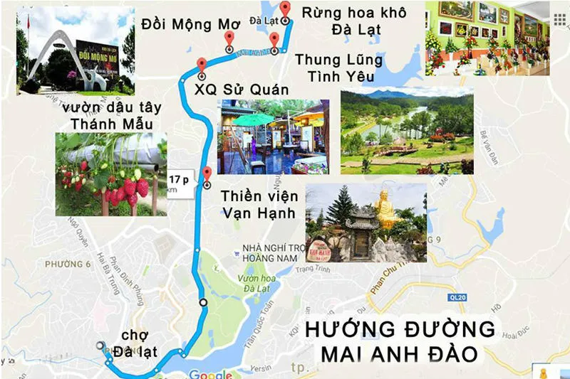 Bản đồ du lịch Đà Lạt – Cùng Tico Travel khám phá Đà Lạt