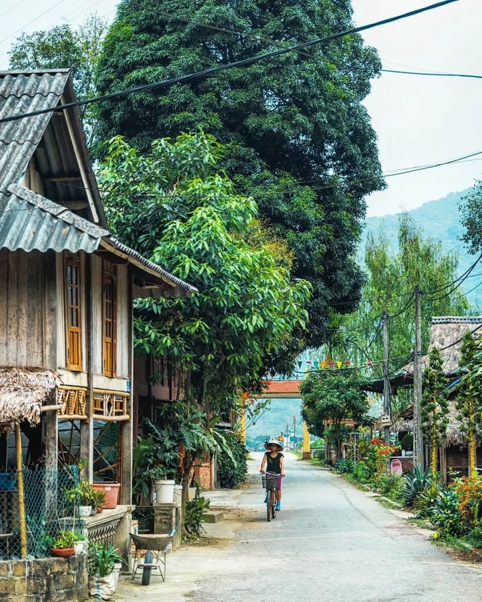 Bản Lác Mai Châu – Vẻ đẹp yên bình nơi núi rừng