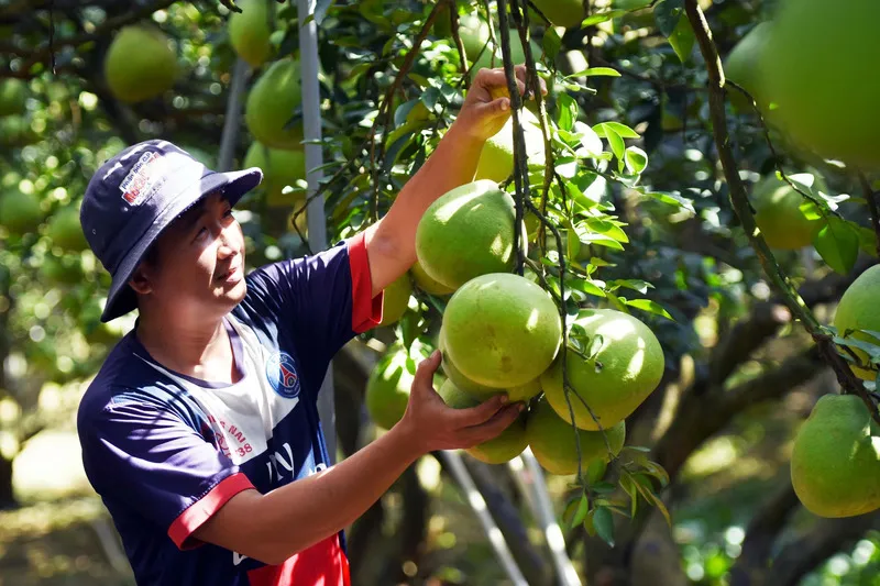 Bật mí 15 đặc sản Đồng Nai ngon nức lòng du khách