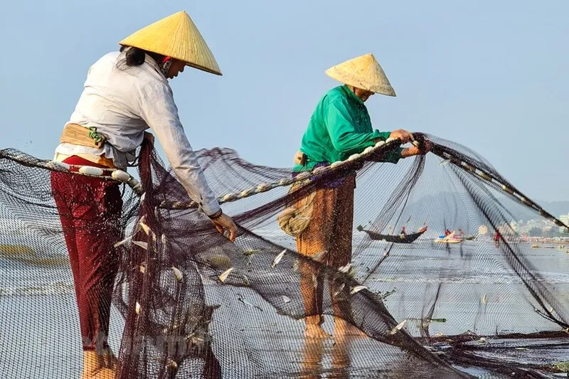 Biển Đồng Châu – Ngắm nhìn vẻ đẹp nên thơ của biển Thái Bình