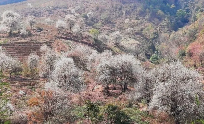 Bình Liêu Quảng Ninh – Địa điểm du lịch không nên bỏ qua