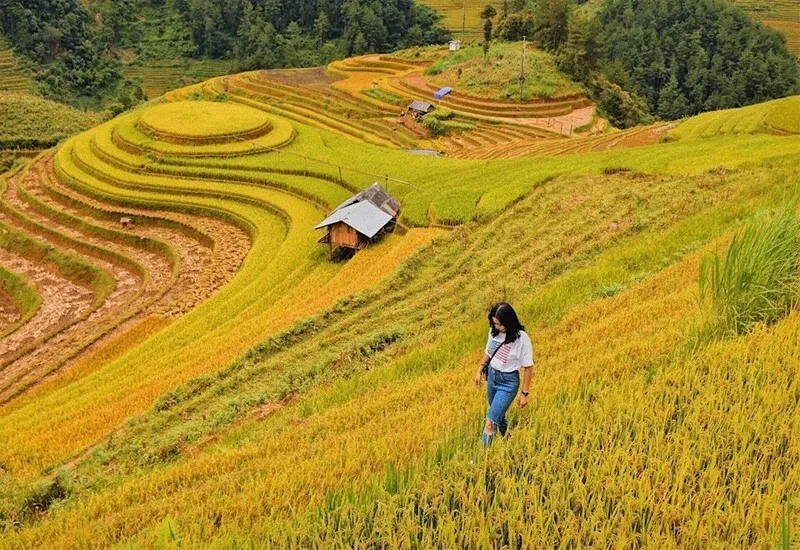 Bình Liêu Quảng Ninh – Địa điểm du lịch không nên bỏ qua