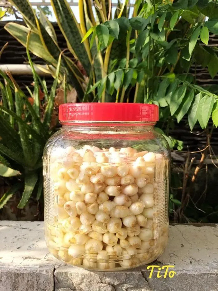 Cách làm củ kiệu ngâm chua ngọt “chuẩn vị” với 5 bước đơn giản