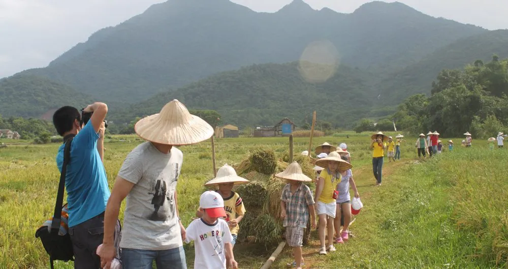 Cắm trại Ba Vì – Kinh nghiệm mới nhất từ A – Z bạn cần biết