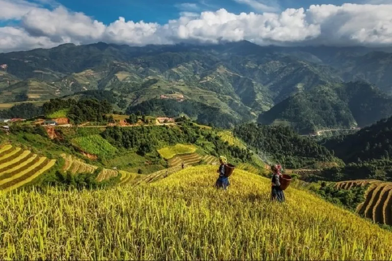 Cao Bằng mùa nào đẹp? Khám phá vẻ đẹp của mảnh đất vùng núi Đông Bắc