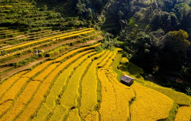 Cao Bằng tháng 10 – Vẻ đẹp thơ mộng của núi non hùng vĩ