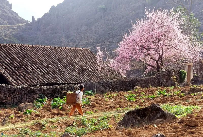 Cao Bằng tháng 3 – Nét đẹp mê hoặc của mùa xuân núi rừng