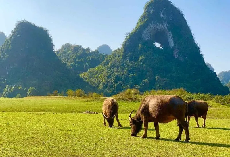 Cao Bằng Tháng 9 – Thời điểm khám phá lý tưởng nhất trong năm