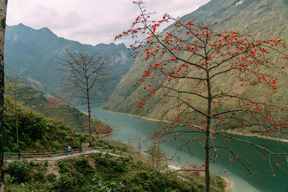 Cao nguyên đá Đồng Văn – “Thiên đường xám” tại Hà Giang