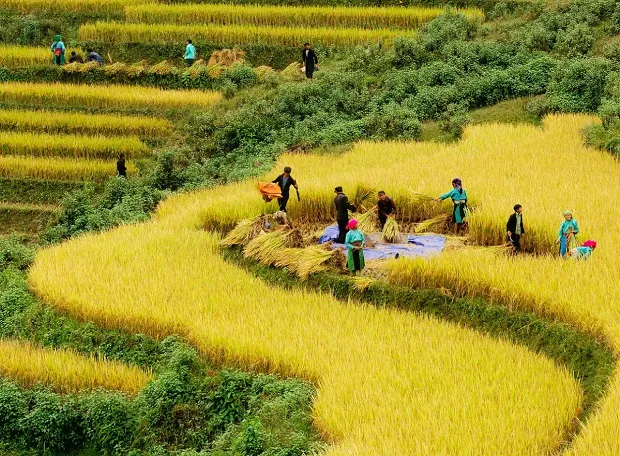 Cao nguyên đá Đồng Văn – “Thiên đường xám” tại Hà Giang