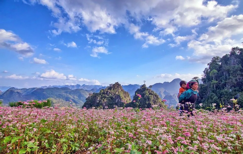 Cao nguyên đá Đồng Văn – “Thiên đường xám” tại Hà Giang