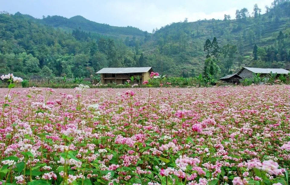 Cao nguyên đá Đồng Văn – “Thiên đường xám” tại Hà Giang