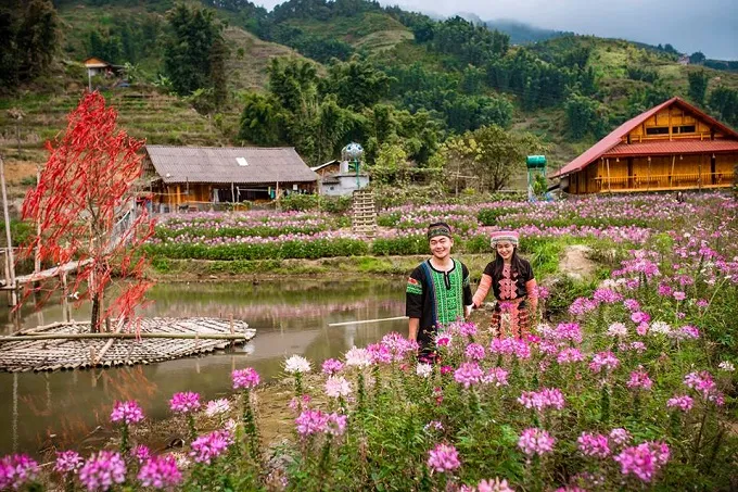 Cầu kính Sapa – Khám phá vẻ đẹp núi rừng Tây Bắc từ trên cao