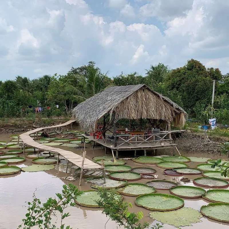 Cồn Sơn Cần Thơ  – Điểm du lịch đậm chất sông nước miền Tây