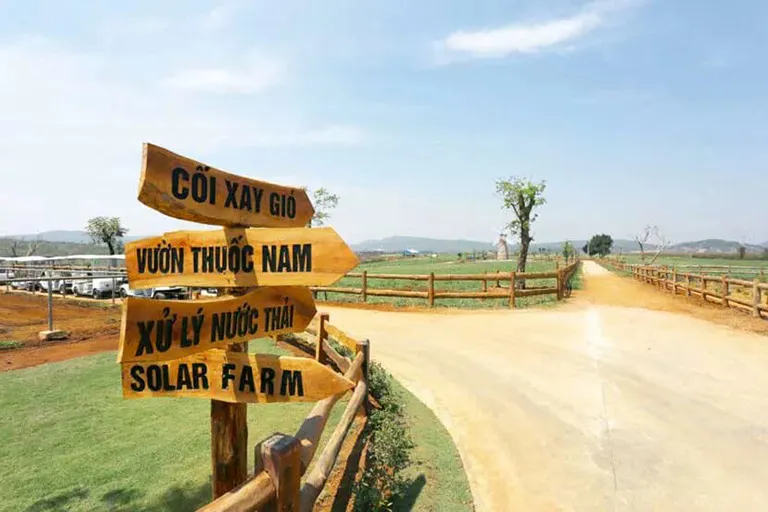 Đà Lạt Milk Farm – Nông trại bò sữa đốn tim giới trẻ