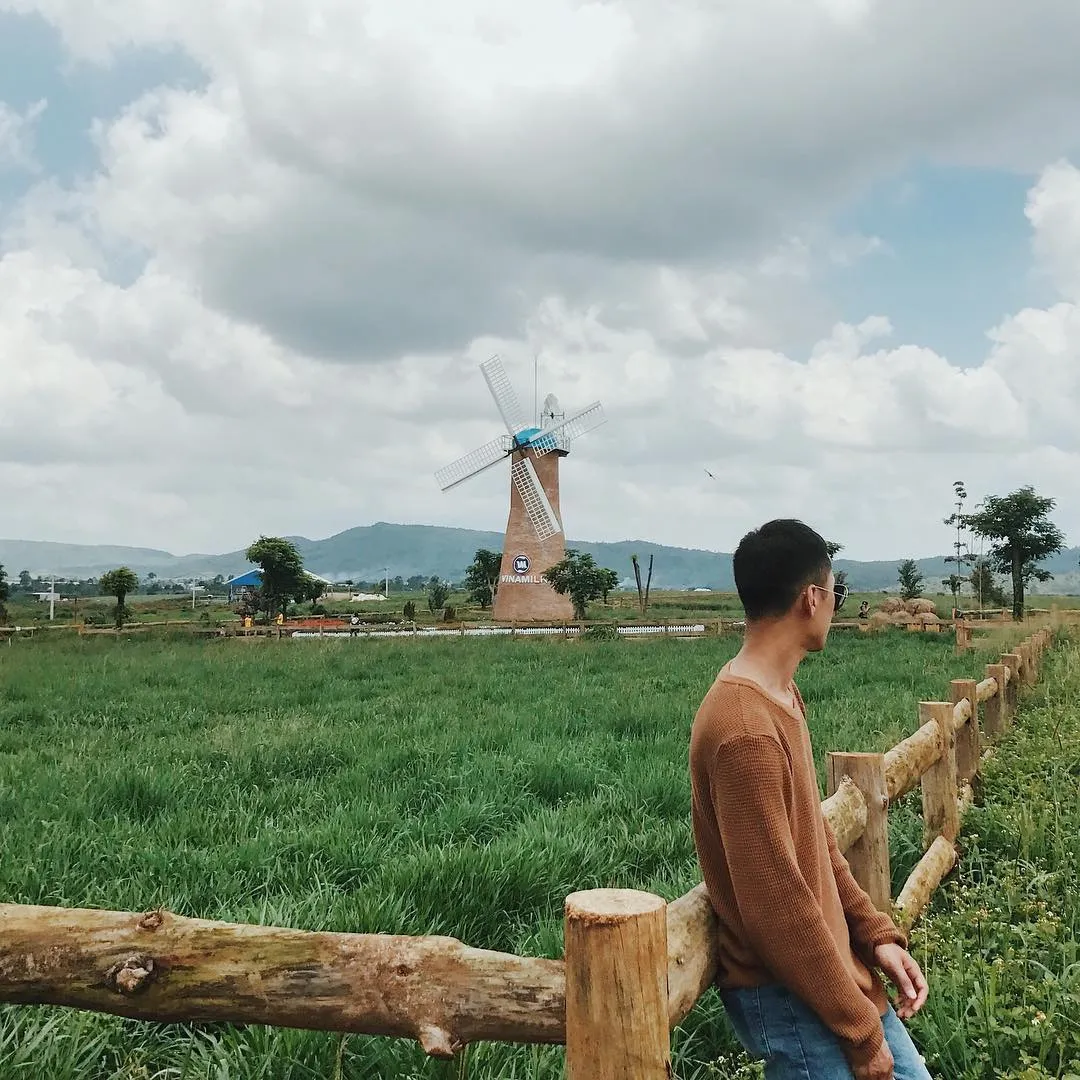 Đà Lạt Milk Farm – Nông trại bò sữa đốn tim giới trẻ