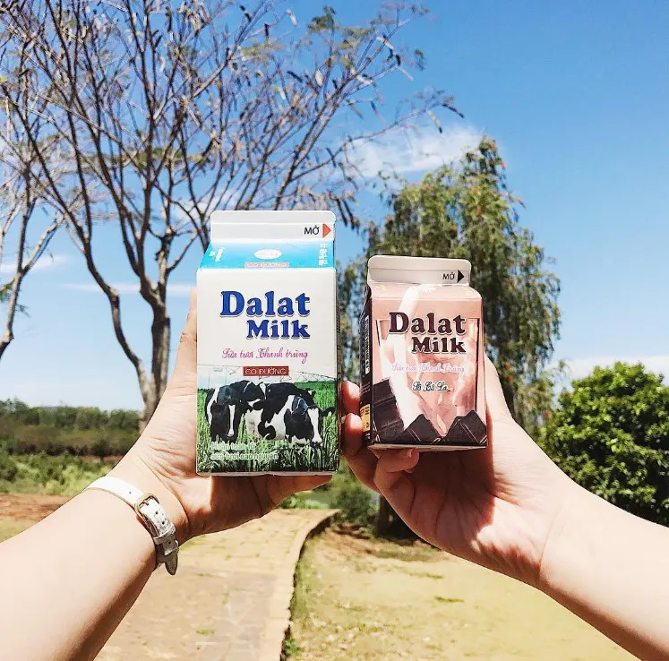 Đà Lạt Milk Farm – Nông trại bò sữa đốn tim giới trẻ