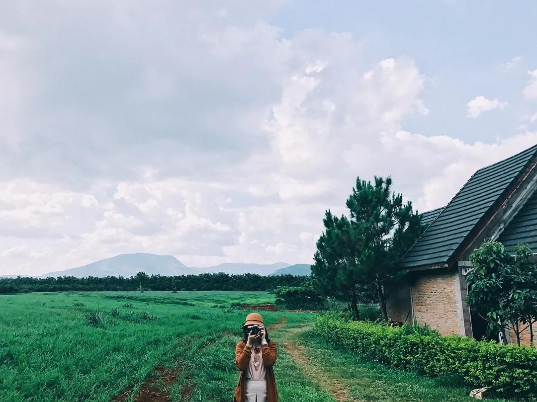 Đà Lạt Milk Farm – Nông trại bò sữa đốn tim giới trẻ