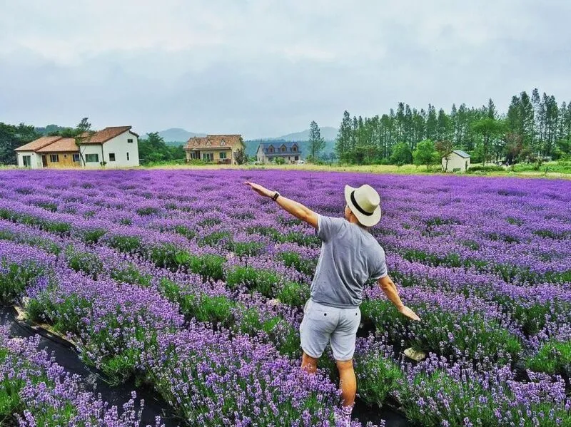 Đà Lạt tháng 7 có gì hấp dẫn khiến du khách không thể bỏ qua?