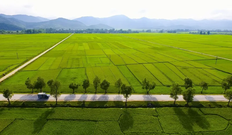 Đèo Pha Đin – Vẻ đẹp núi rừng hùng vĩ lãng mạn ở miền Bắc