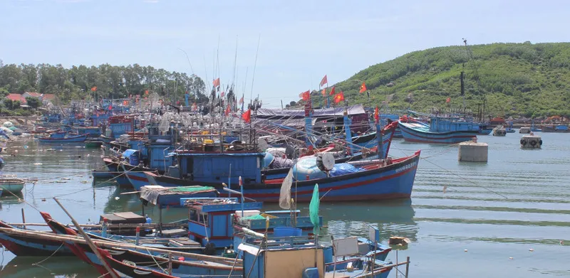 Điểm mặt 15 điểm du lịch Quảng Ngãi lý tưởng cho hành trình của bạn