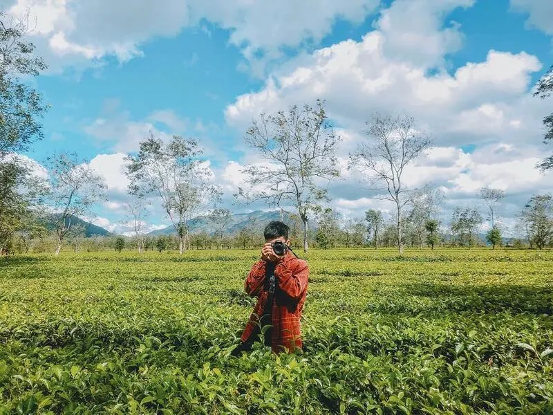 Đồi chè Đông Giang – Địa điểm check-in không thể bỏ qua