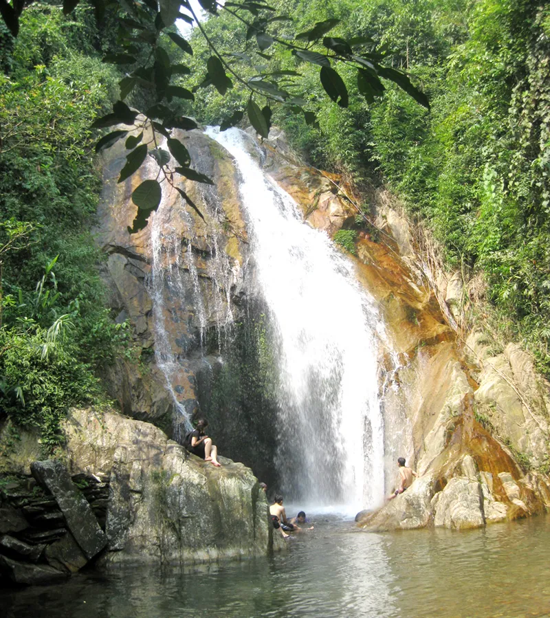 Đồi chè Thanh Sơn – Hòa mình trong vẻ đẹp bình yên