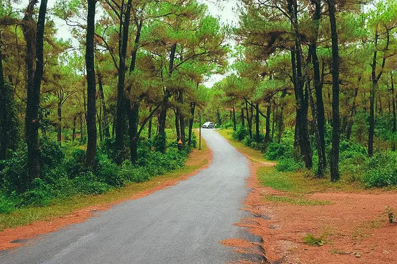 Đồi Thiên An – Nét hoang sơ mạnh mẽ của Huế mộng mơ