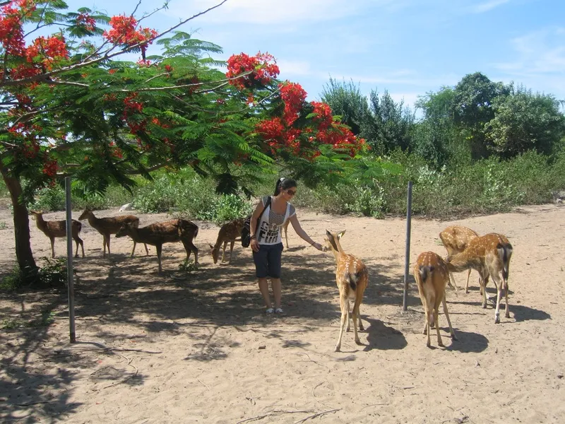 Du lịch đảo Hoa Lan – Khám phá thiên đường của hoa lan