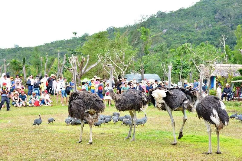 Du lịch đảo Hoa Lan – Khám phá thiên đường của hoa lan