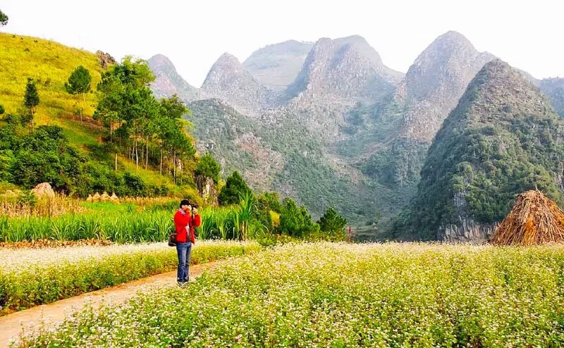 Du lịch Hà Giang tháng 7 – Hành trình chi tiết từ A đến Z