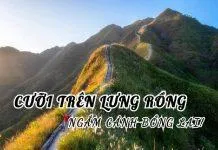 Du lịch Nam Định ăn gì? Top 15 quán ăn ngon ở Nam Định cho bạn tha hồ lựa chọn