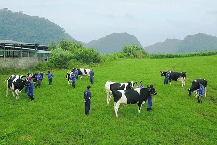 Du lịch Sơn La mua gì? Mách bạn 15 món đặc sản Sơn La làm quà ý nghĩa nhất