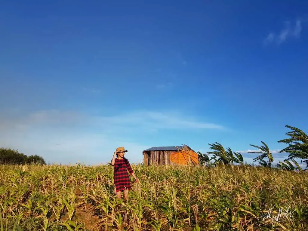 Ghé thăm cao nguyên Vân Hòa – Đà Lạt thứ hai của Việt Nam