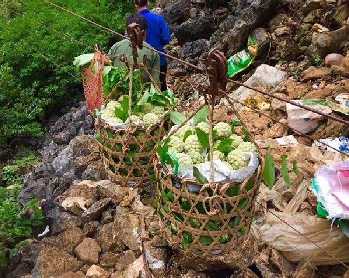 Gợi ý 10 đặc sản Lạng Sơn ngon, hấp dẫn, làm quà tặng ý nghĩa