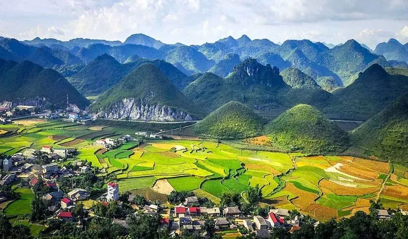 Hà Giang tháng 10 – Ngắm mùa hoa tam giác mạch cực đẹp