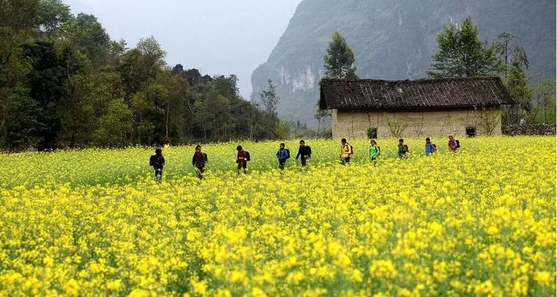 Hà Giang tháng 12 – Vẻ đẹp miền cao nguyên tháng cuối năm