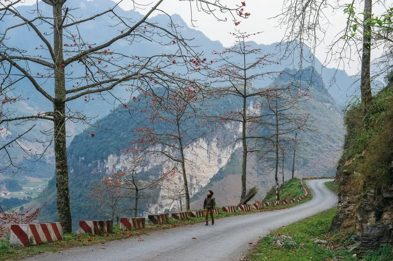 Hà Giang tháng 3 – Sắc đào nở rộ trên cao nguyên đá