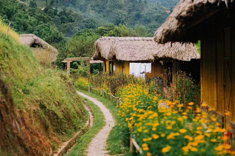 Hà Giang tháng 9 – Vẻ đẹp quyến rũ, mê mẩn người yêu cái đẹp