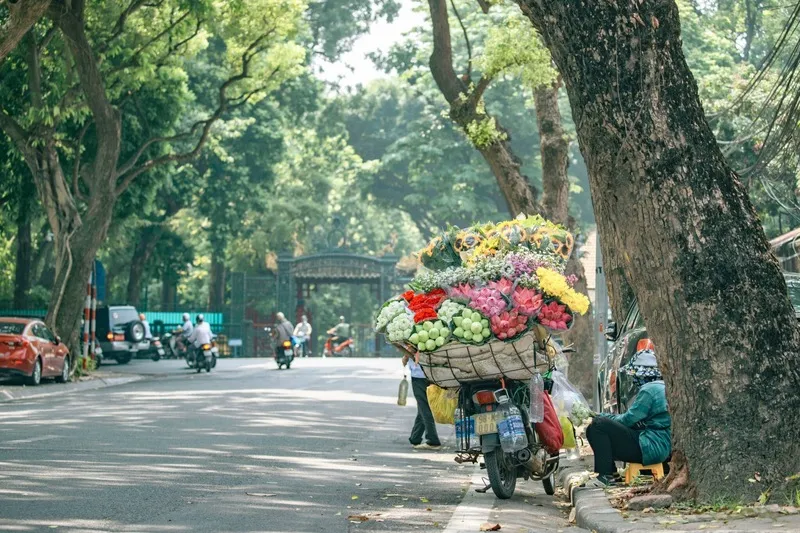 Hà Nội Tháng 11 – Khám Phá Thủ Đô Những Ngày Đầu Đông