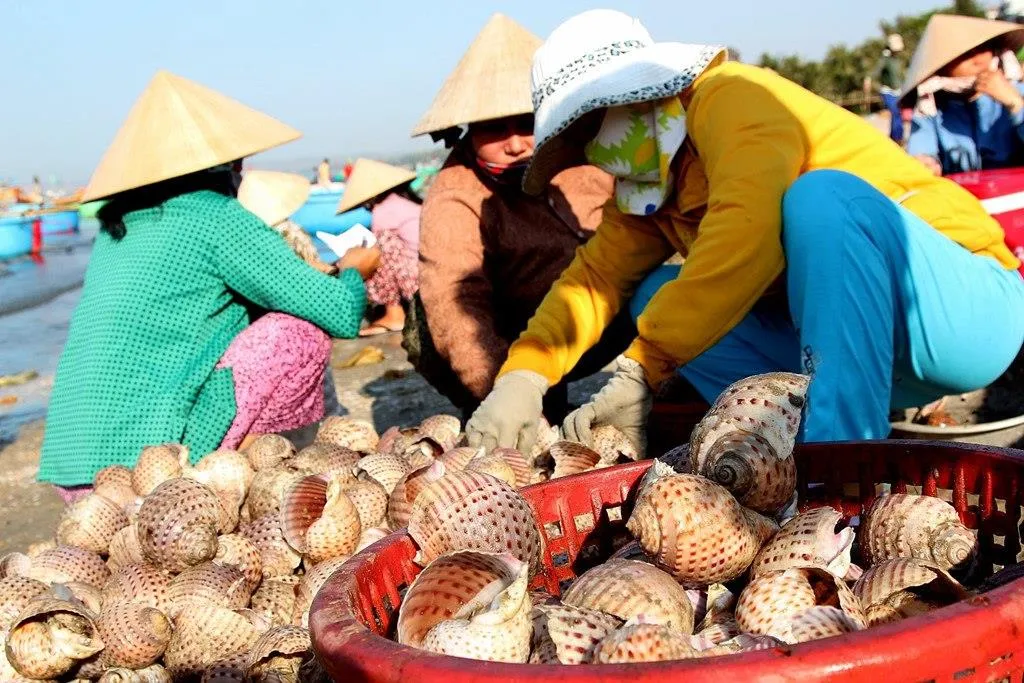 Hải Đăng Kê Gà – nơi ngắm hoàng hôn đẹp ngỡ ngàng