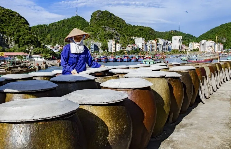 Hải Phòng Tháng 6 – Hè Về Rực Rỡ Trên Đất Cảng