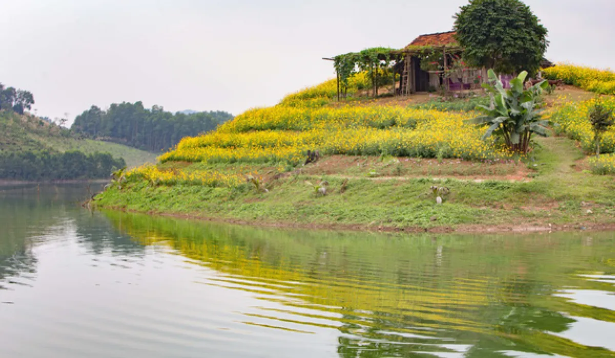 Hồ Núi Cốc – “Vịnh Hạ Long” thu nhỏ tại Thái Nguyên